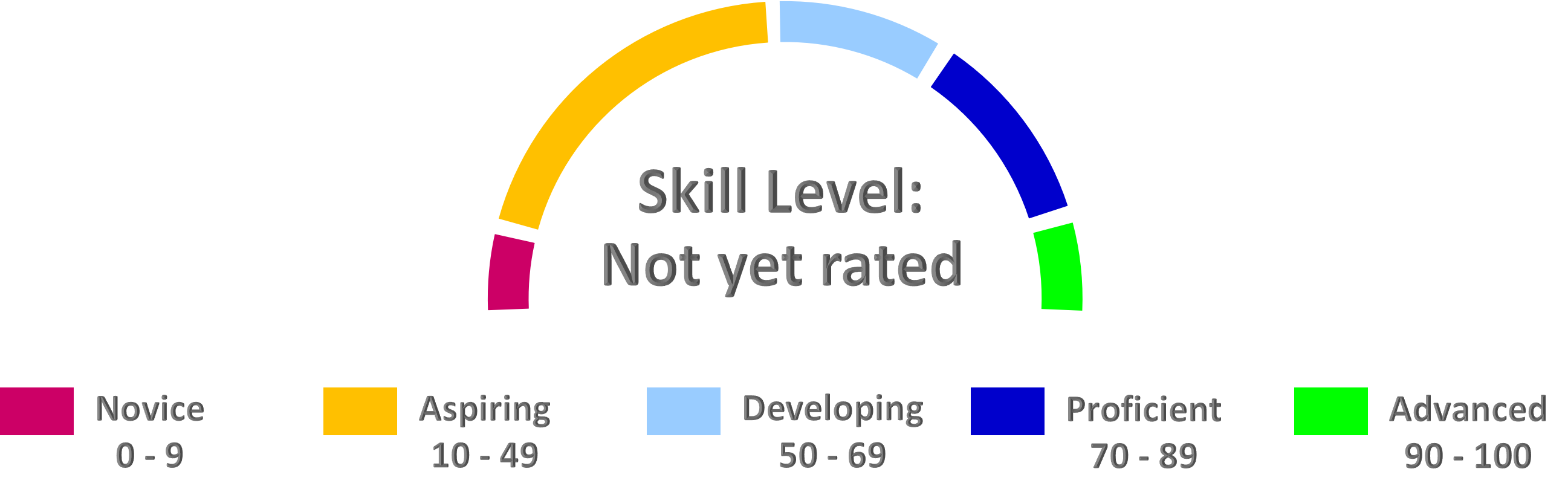 Benchmark Meter for skill levels novice through advanced